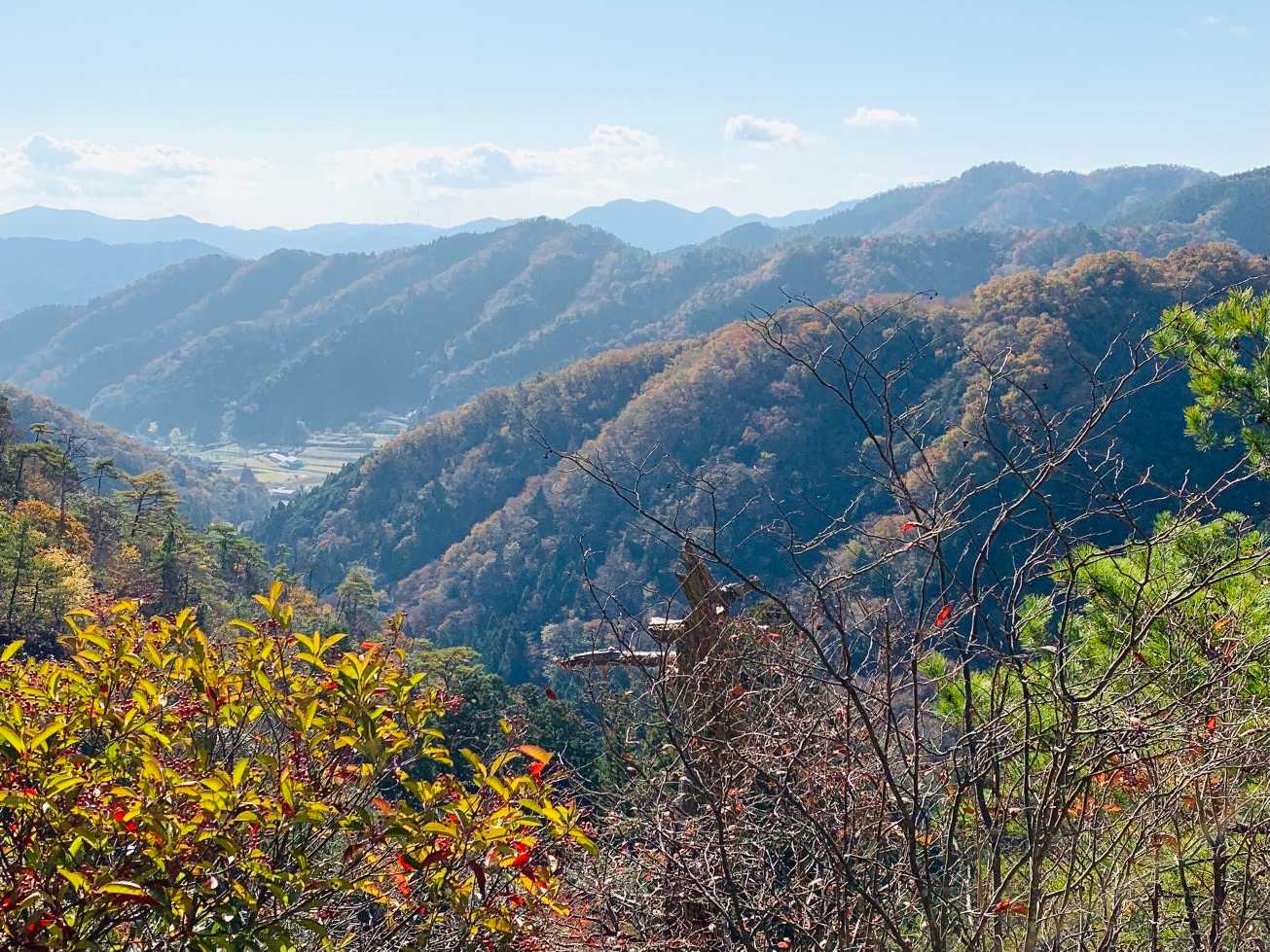 登山道から六甲山方面