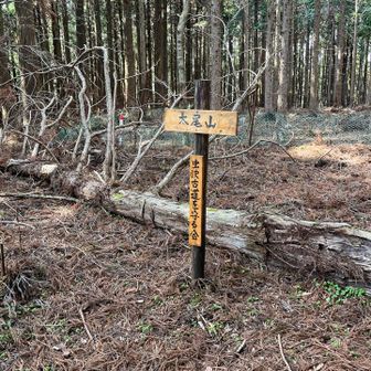 太尾山まで登りました
約700mの登り返し💦