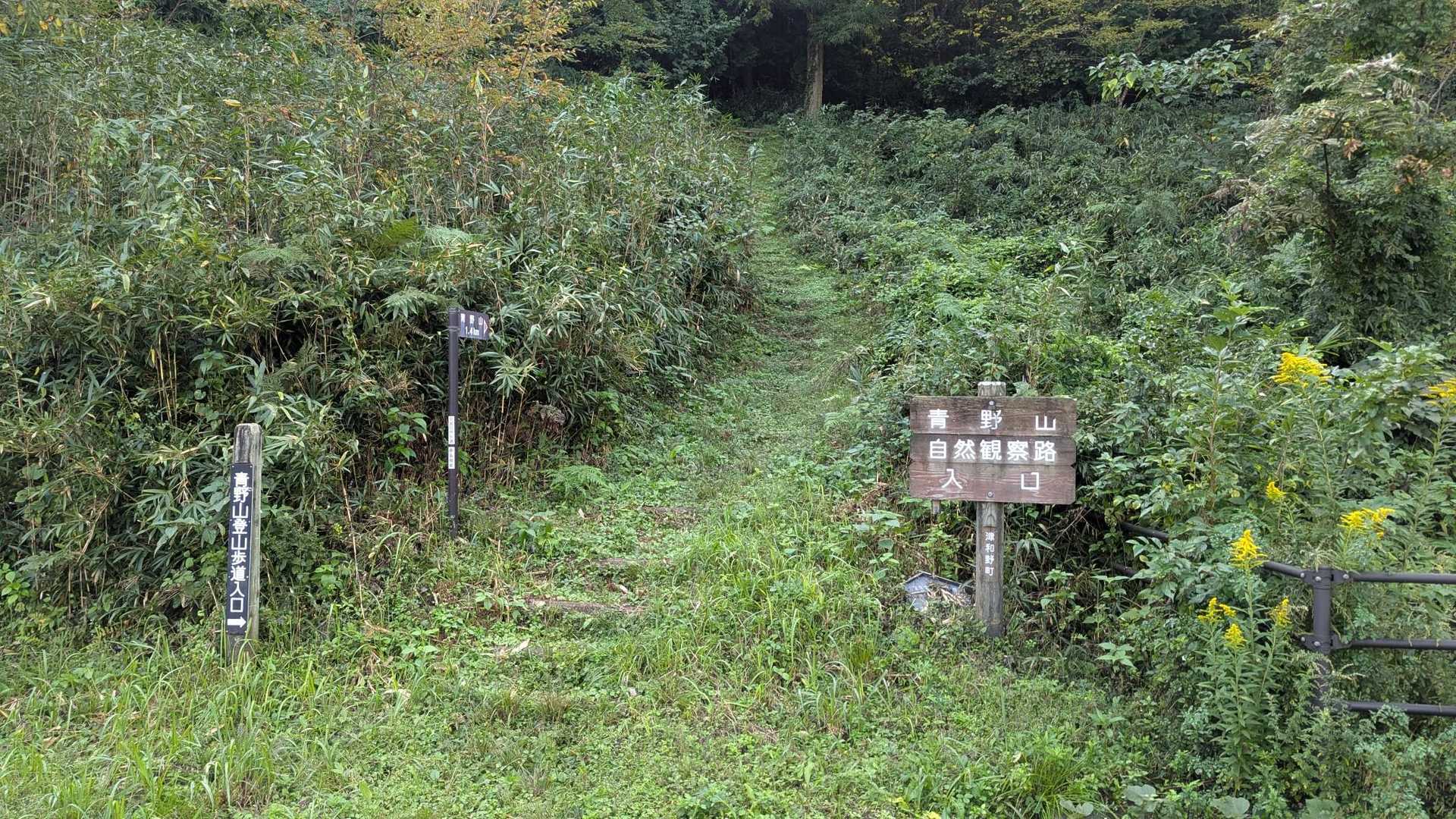 青野山 往復コースの写真