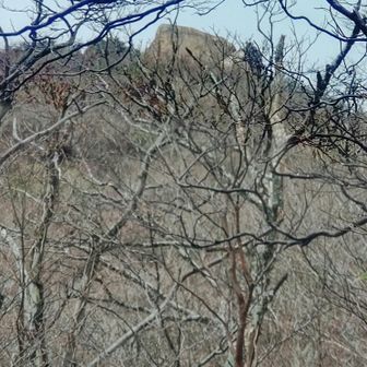 カモシカ台 行かず