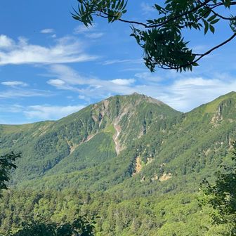 登り中、はじめて見えたニペソツ山