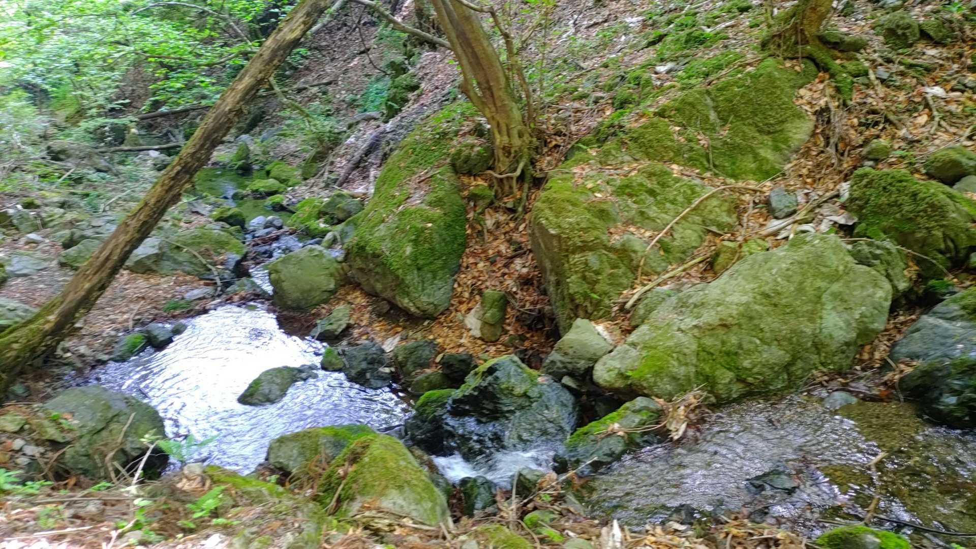 さわらびの湯バス停〜御嶽駅｜棒ノ嶺・岩茸石山・惣岳山縦走コースの写真