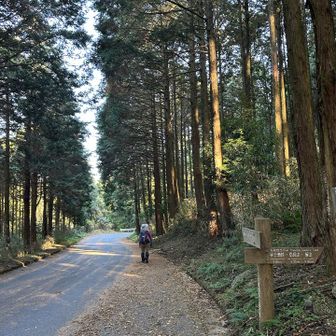 車道歩きで駐車場へ戻る…😊