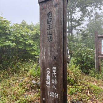 奥医王到着
結構な雨降り…
眺望ないのですぐ下山