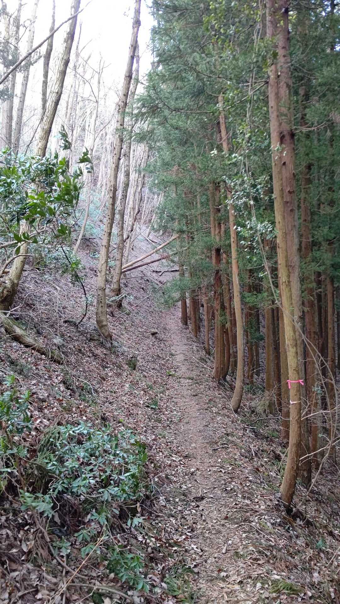 風がピューピュー🌀