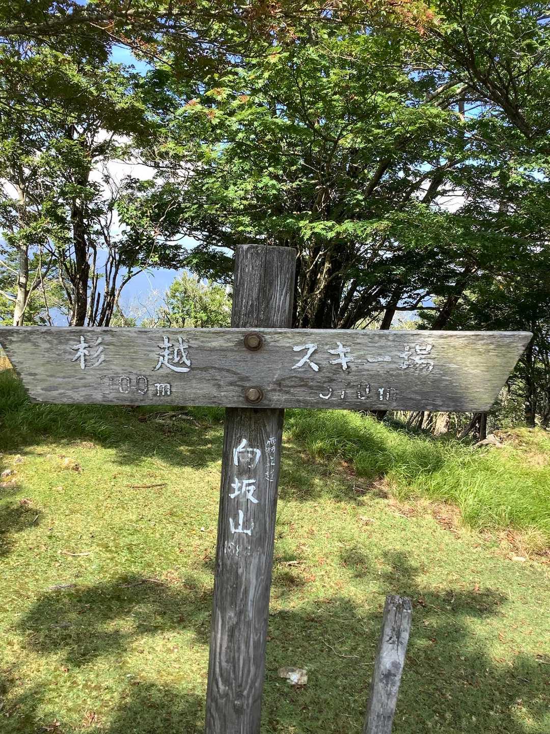 ゴボウ畑登山口-白岩峠-白岩山-向坂山 周回コースの写真