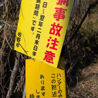 ここから。大喜利かな