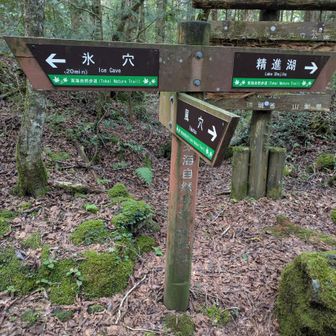 次は氷穴へ