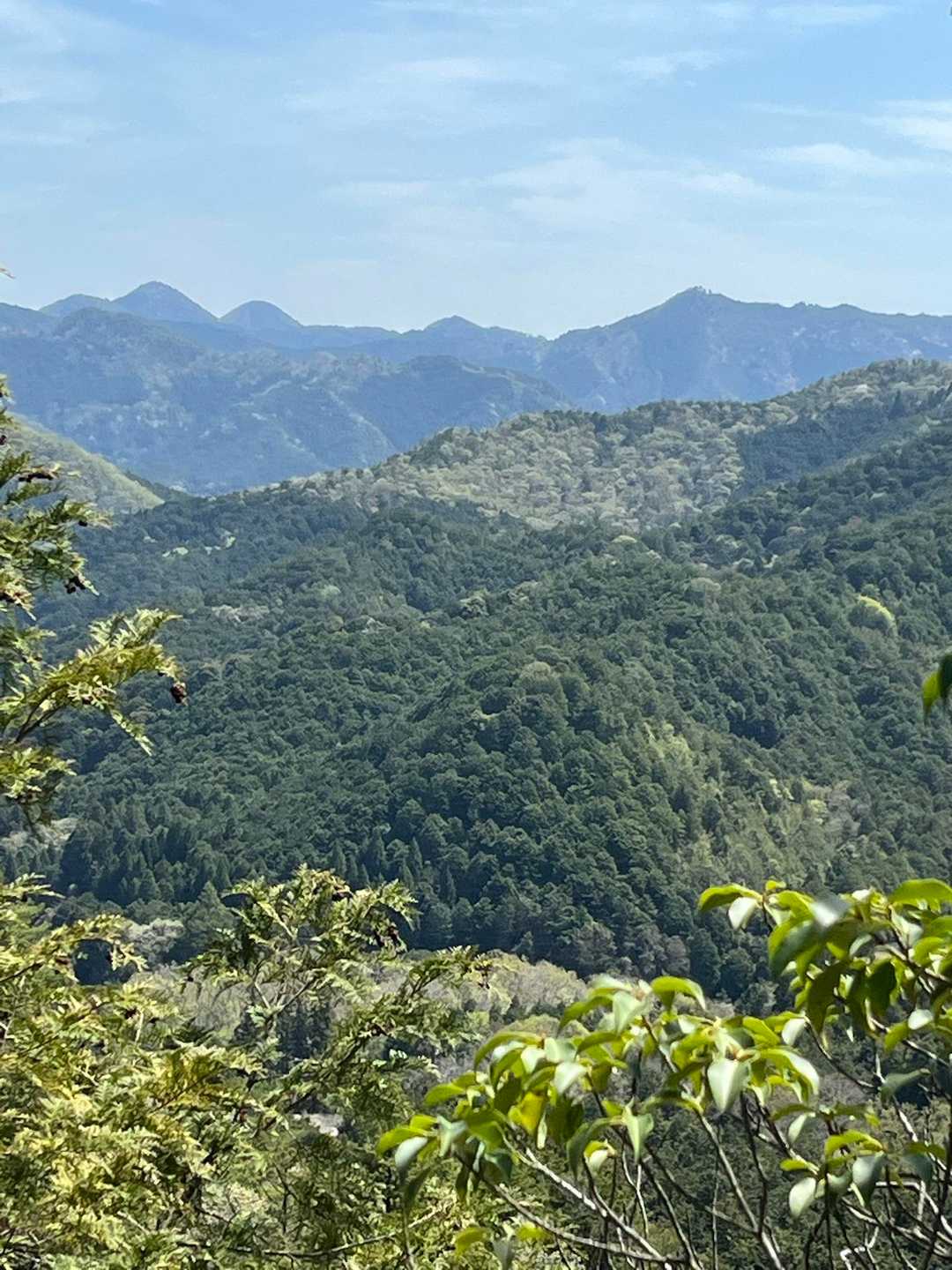 高見城山 往復コースの写真