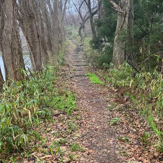 車道行くのかと思いきや
ちゃんと登山道があって
街中低山でも楽しいです🌱