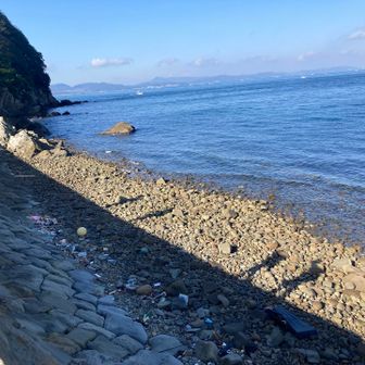 本日のお仲間🚶‍♂️‍➡️