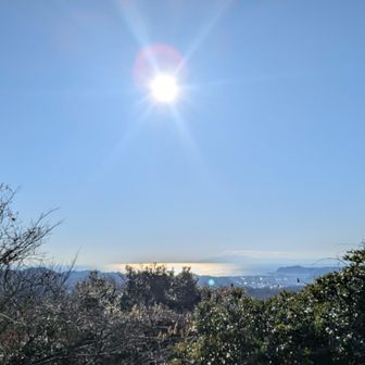 天園付近からの相模湾