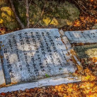 山の中では 心清らかw