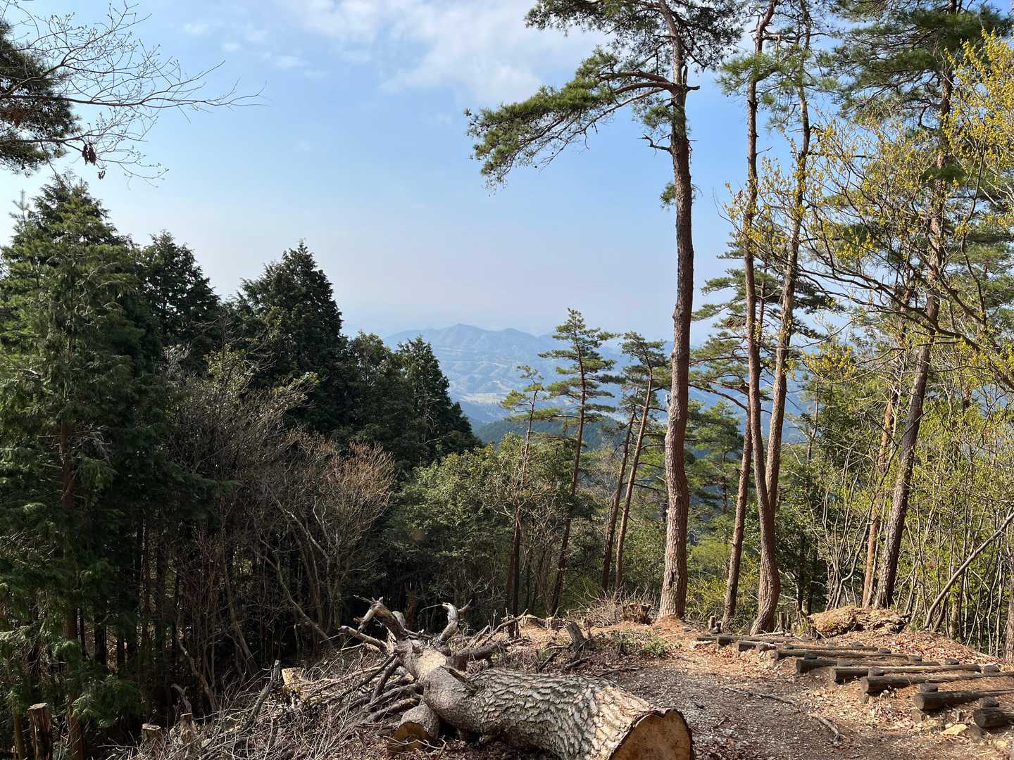 山頂からの眺め