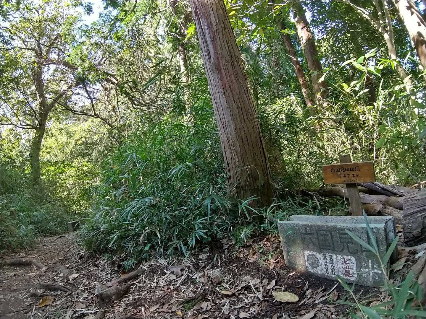 六国見山の写真