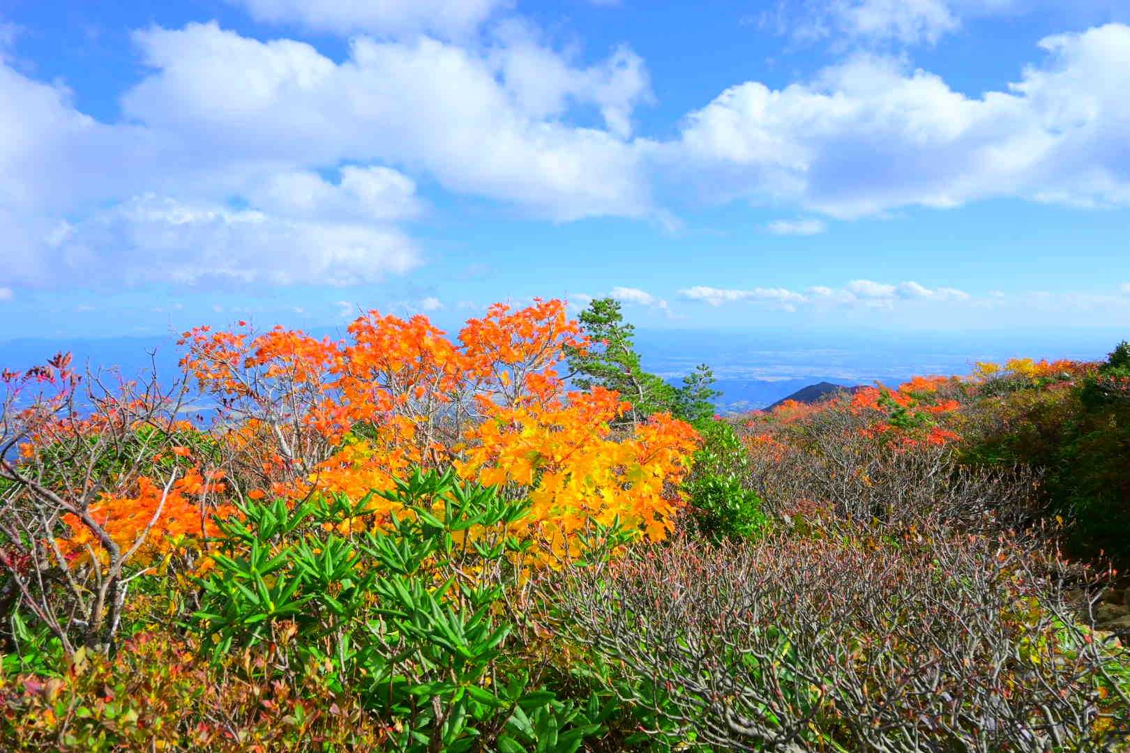 あだたら山ロープウエイ山頂駅-安達太良山-矢筈森 往復コースの写真