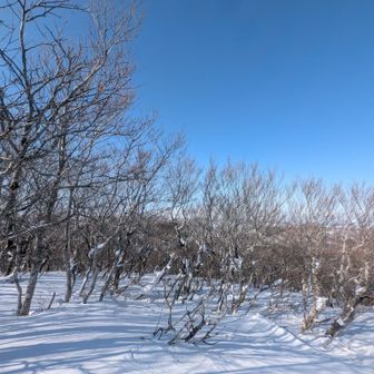 船形山隙間からちらっと