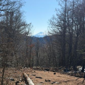 富士見平小屋からの富士山🗻
前日あった雪も溶けてます