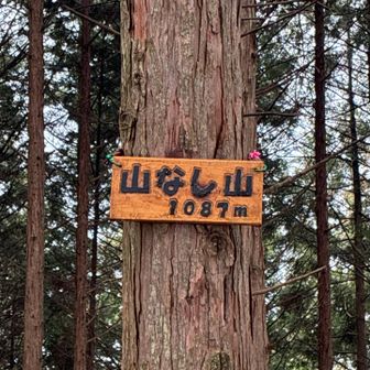 今日の目的山