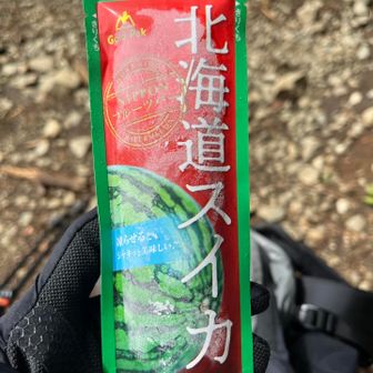 今日も堀山の家でシャーベット😋