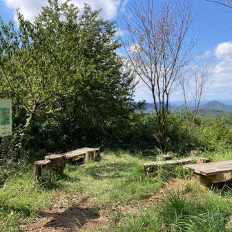 桜峠
今日はここから下山します🚶‍♂️