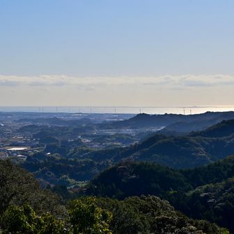海岸に沿って林立する風力発電の風車
左側が御前崎