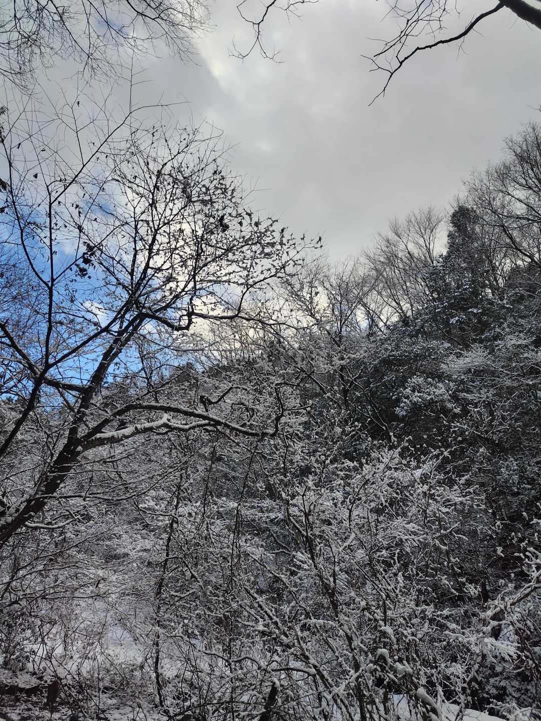 山陰辺りはまだしっかり雪が残ってます❄️