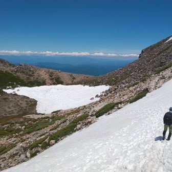 グッディーケント