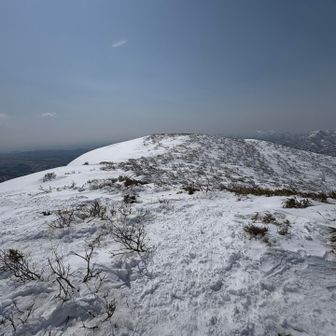 プレートは見つけられず…