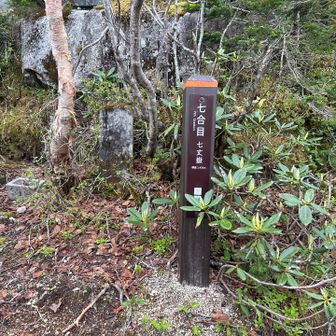 駐車場から3時間8分
小屋で10分弱休んでます