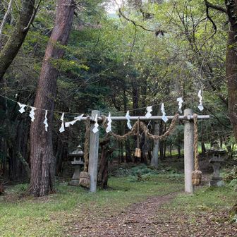 鳥居⛩️