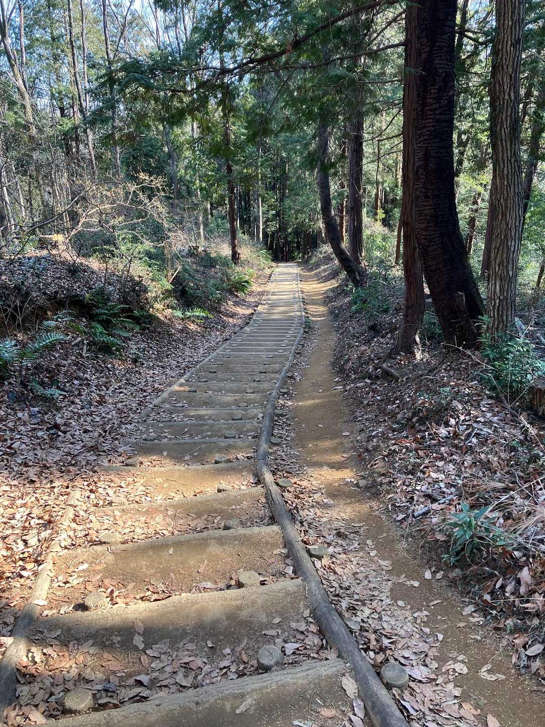 階段も整備されています