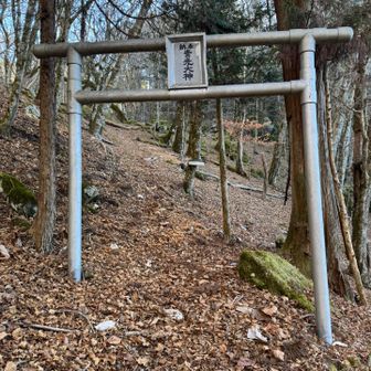 とても静かなお山ですので、私達も静かに進みます←ウソ🤥