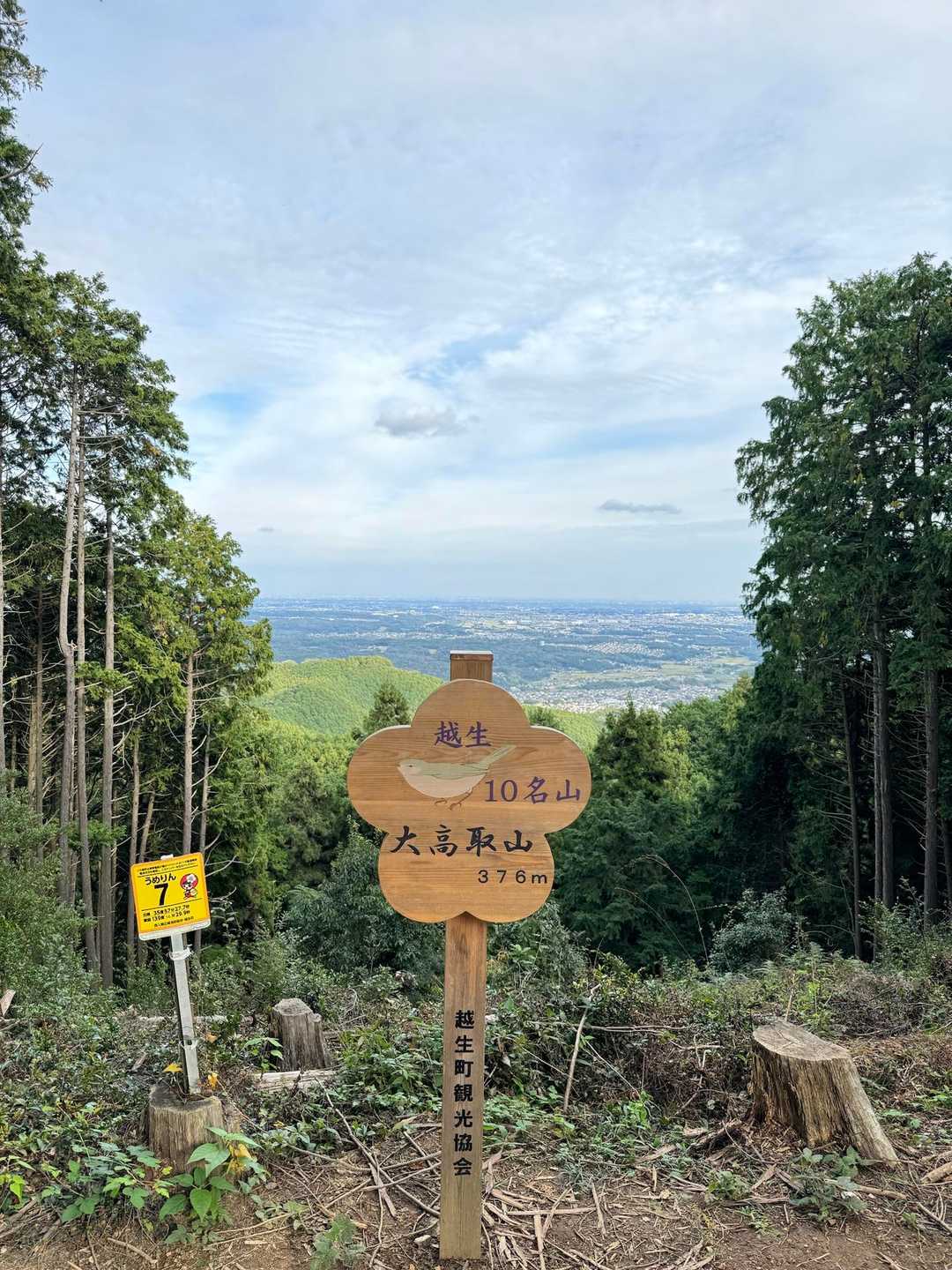 大観山-根っこ山-大高取山 往復コースの写真