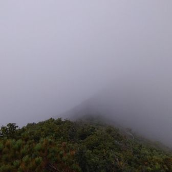 自分がガス男なのか🤣
ソロのときは構わないから仲間がいるときは晴れて欲しい🙏
下山します