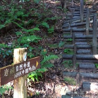 階段登って尾根道へ