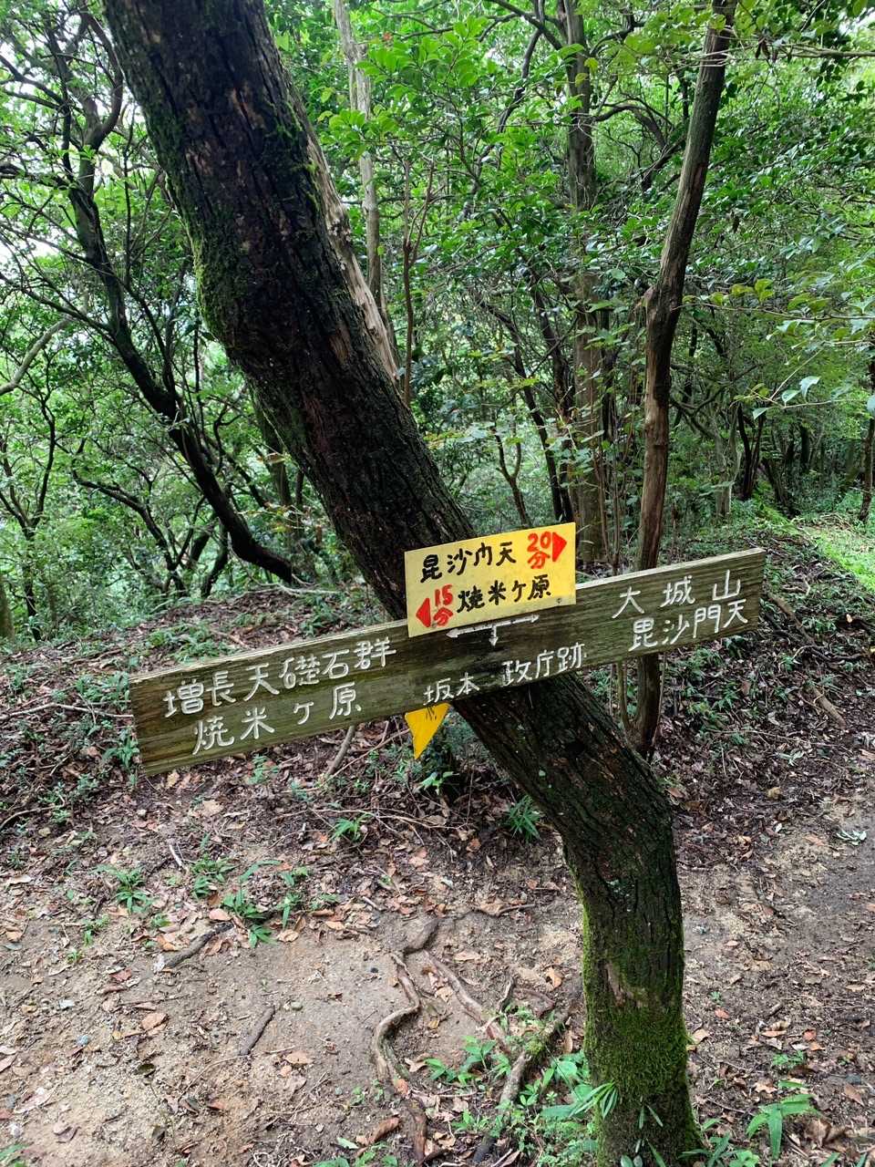 やっと上まで着いた🥵💦1時間で戻ろうと思ったけど、もうすでに40分経過。