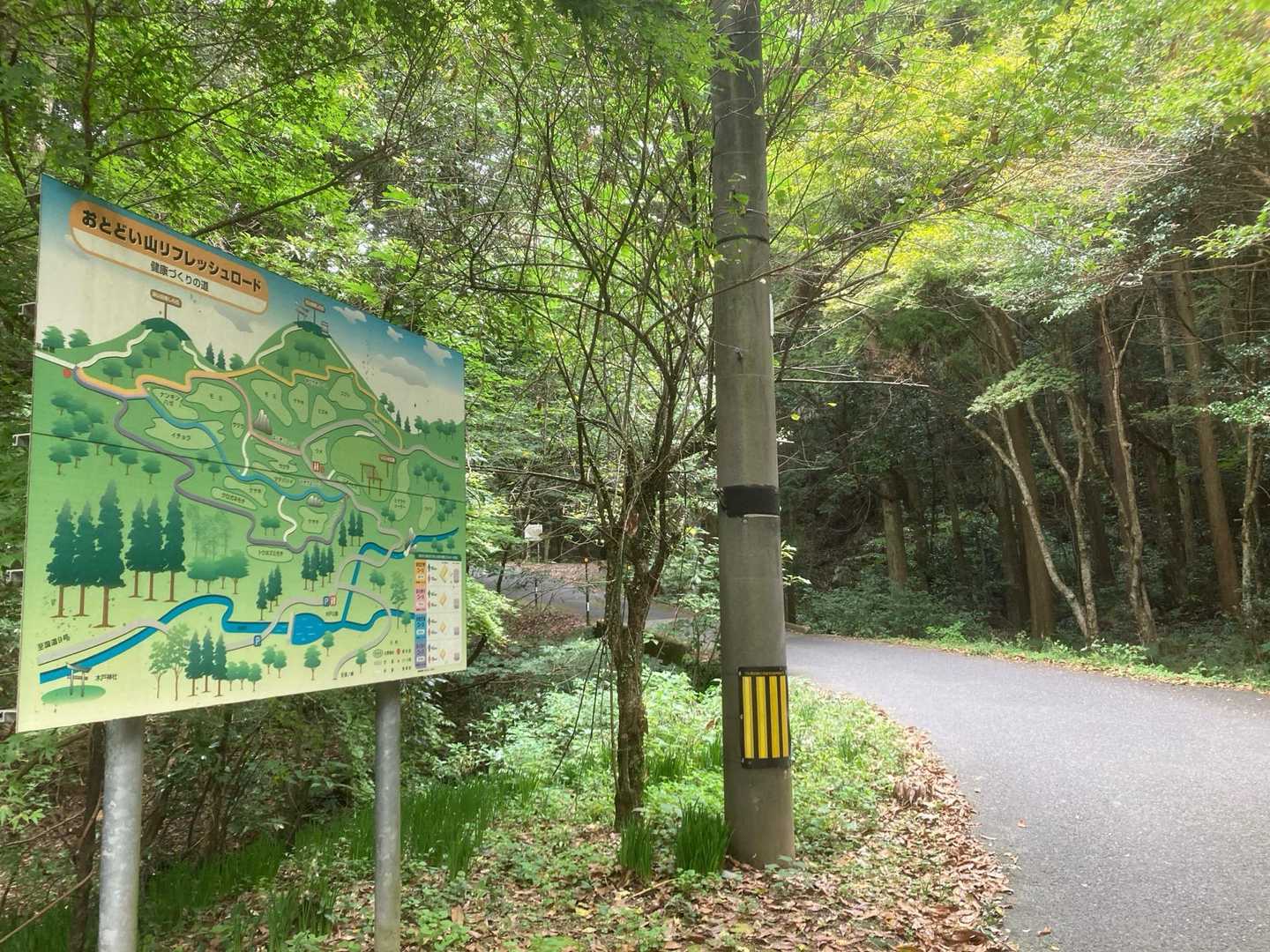 高嶺城跡登山口-兄弟山コース登山口-鴻ノ峰 往復コースの写真