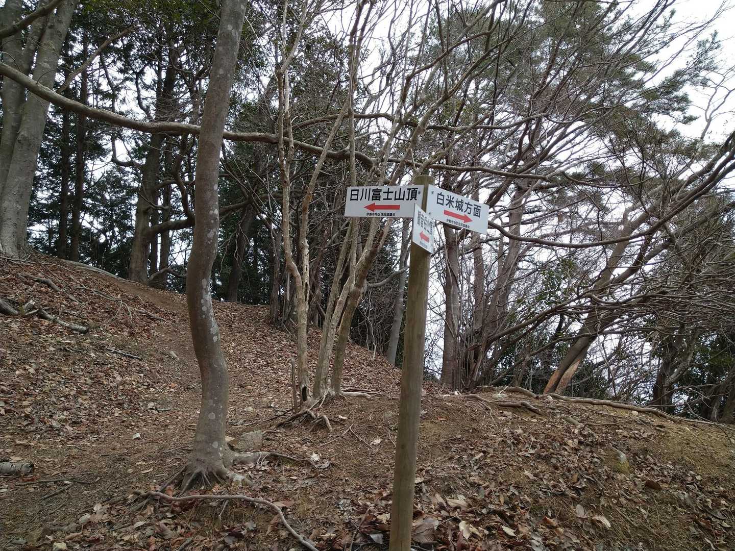 日川富士への分岐