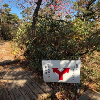 安達太良山頂目指します🥾が
ここから大渋滞でした…人が多すぎてスローペース