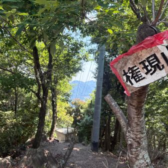 久しぶりの権現山👏
