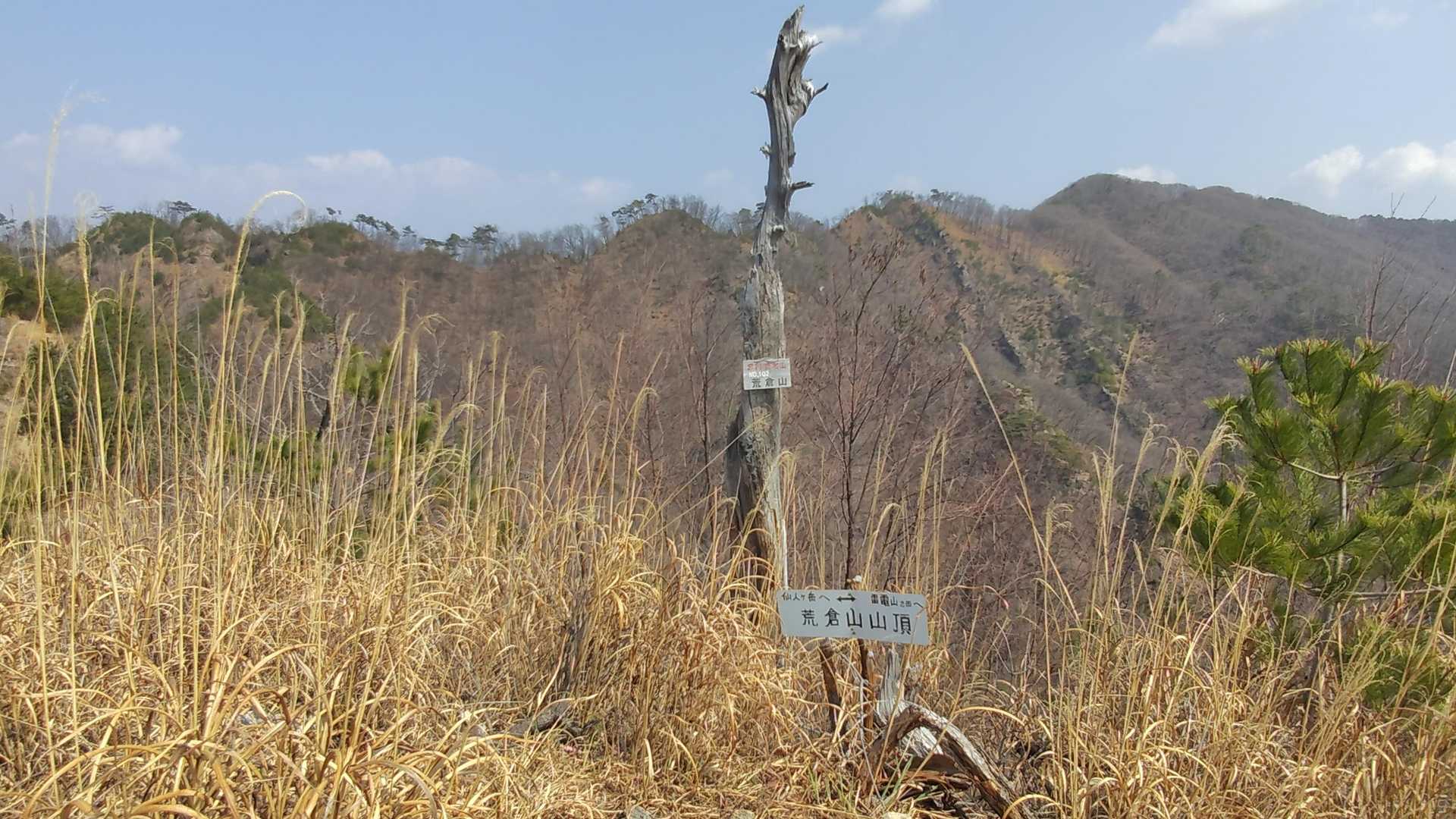 荒倉山＼(^o^)／　後ろは右の仙人ヶ岳からファミリー達