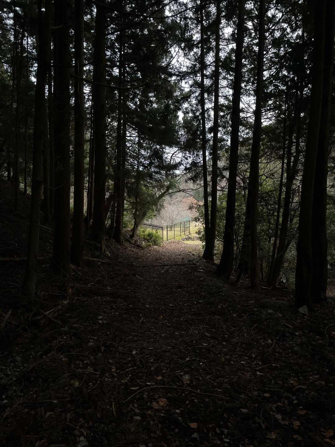 真っ暗からヒカリ💡