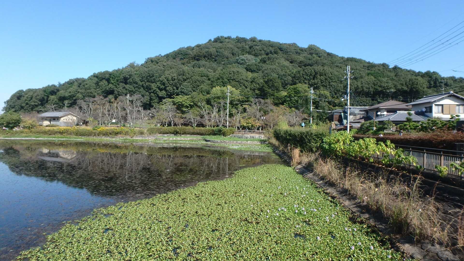 耳成山の写真