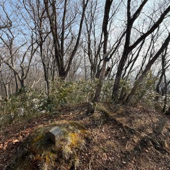 二つ目のピーク三石山山頂