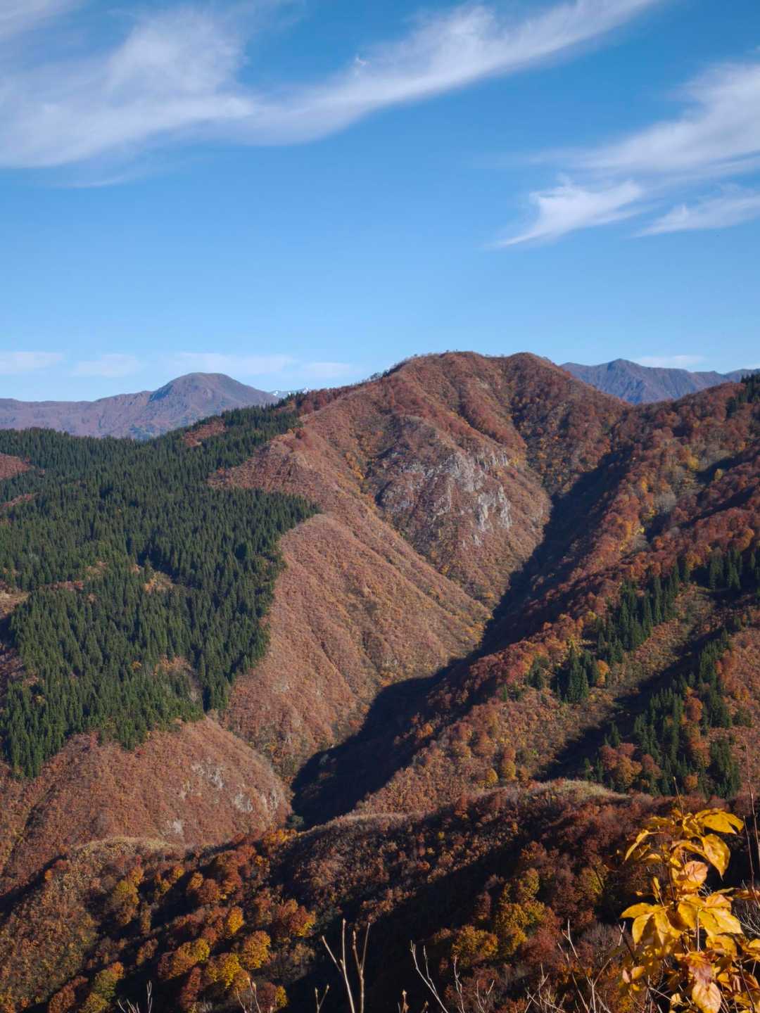 大力山-黒禿の頭-笠倉山 往復コースの写真