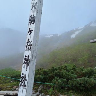 神社でお参りしてから、いざ！