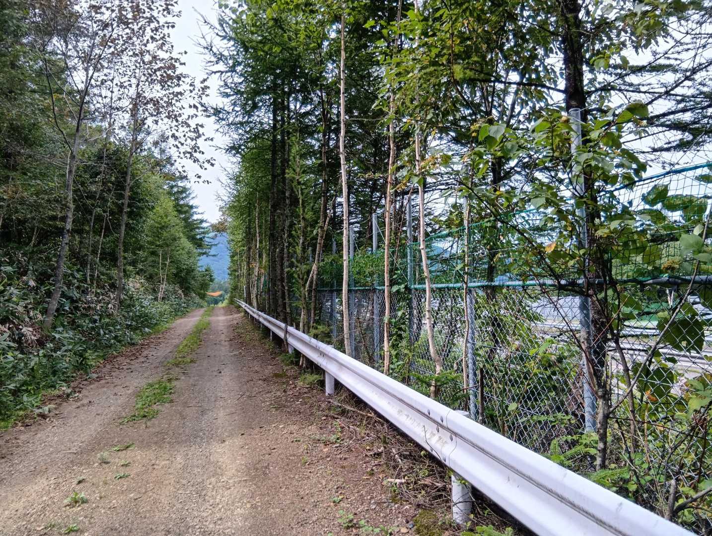 道東道のすぐ脇の道をテクテク🚶
仕事で道東道を朝10時ぐらいに通過していた時に、よく登山者を見かけてました🚛💨
コロナ初期の外出自粛期間にご高齢の方たちが登られていたのには勇気づけられたものです👍🏻