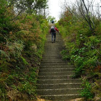 分岐を超えて今度は笠松山
への登山道に向かうと、
再びそこそこの勾配の石段。