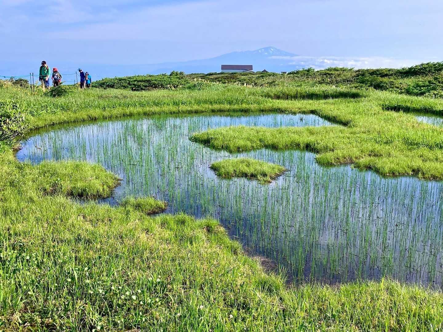 月山八合目往復 | 夏は残雪と花の楽園、秋は黄金に染まる草紅葉、四季折々の魅力の写真